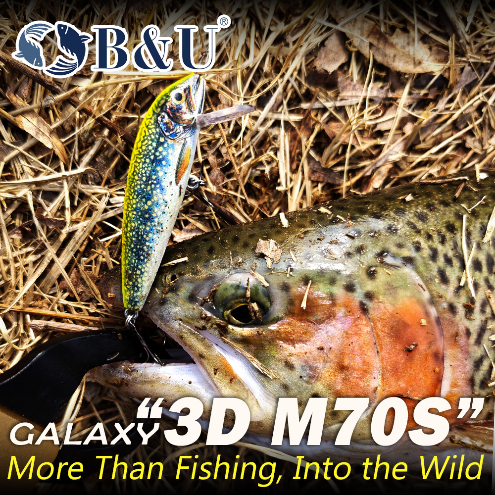 B&U Sinking Minnow Fishing Lur - 3D Printing Lure avaliação e preço